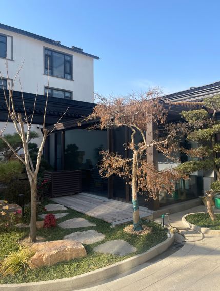 东山别墅大宅自建房