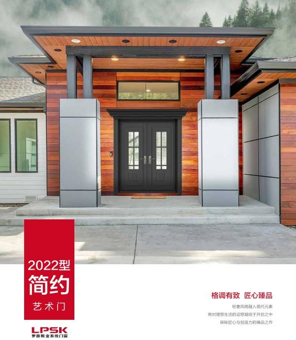 2022型简约艺术门